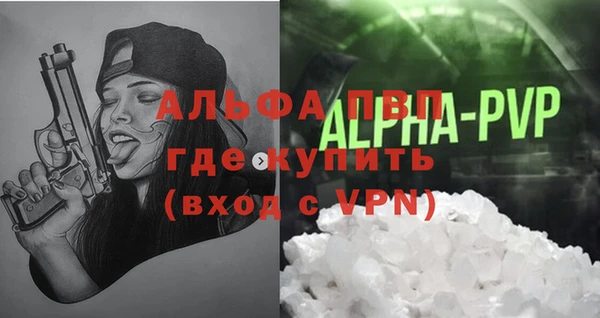индика Мегион