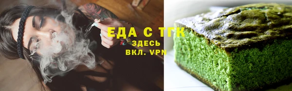 индика Мегион