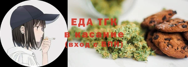 индика Мегион