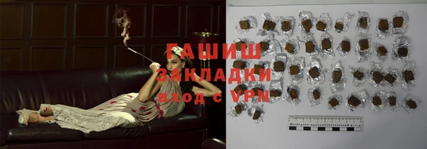 индика Мегион