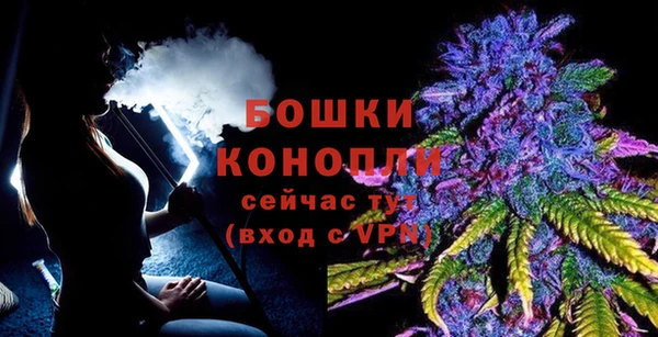индика Мегион