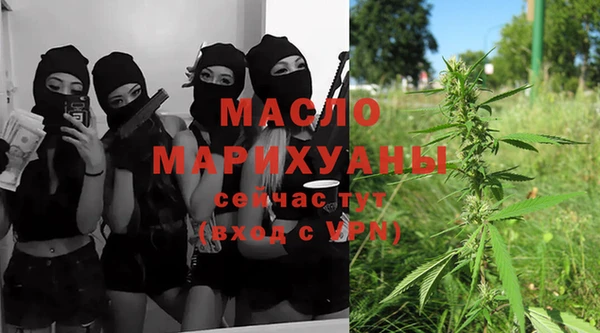 индика Мегион