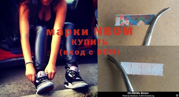 индика Мегион