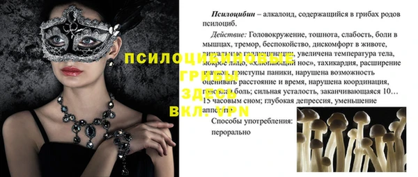 мескалин Медвежьегорск