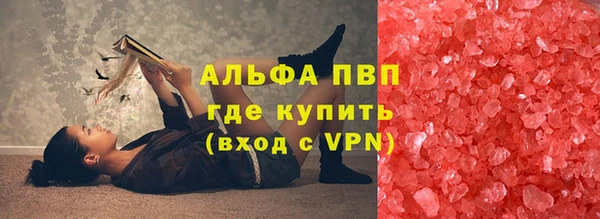 индика Мегион