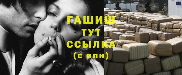 индика Мегион