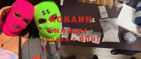 индика Мегион