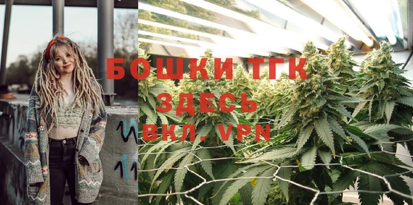 ПСИЛОЦИБИНОВЫЕ ГРИБЫ Бежецк