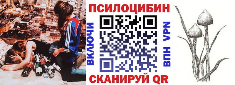 Псилоцибиновые грибы мухоморы  купить наркотик  Ядрин 